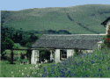 argyll self-catering cottage