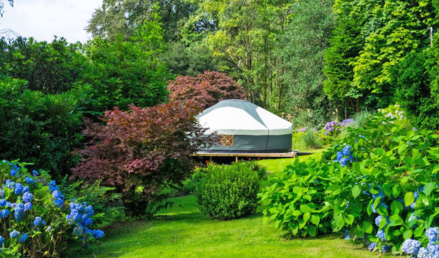 Yurt for yoga and wellness retreat