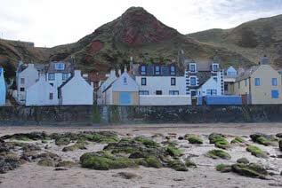 cottage overlooking sea