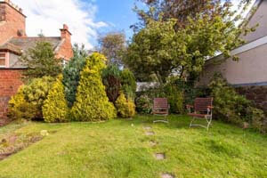 cottage garden