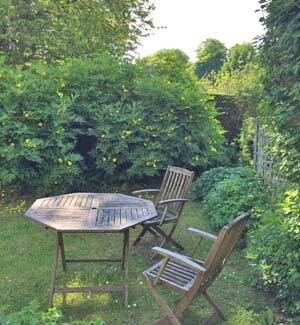 cottage garden
