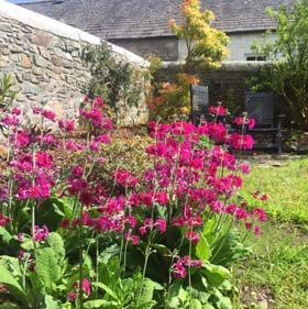 colourful garden