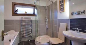 bathroom with seperate shower
