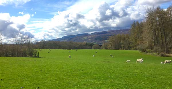 Highland Perthshire views