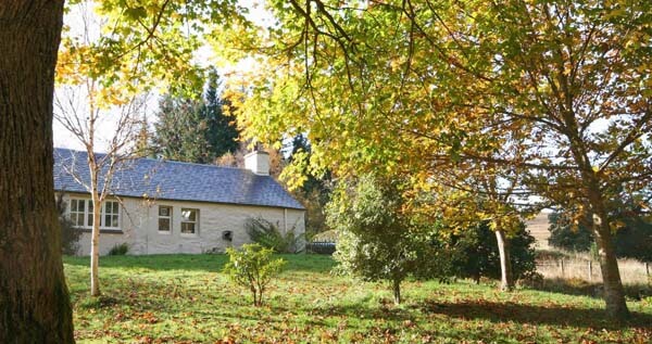 medieval cottage
